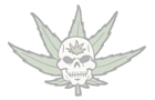 Skull-Pot-1.gif