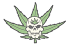 Skull-Pot-2.gif